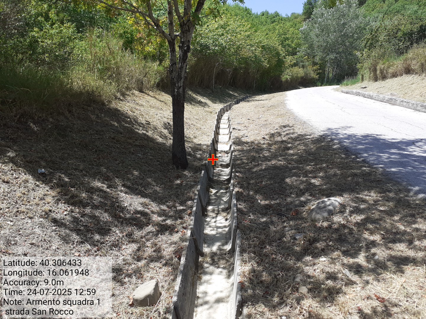 Galleria Fotografica Immagine