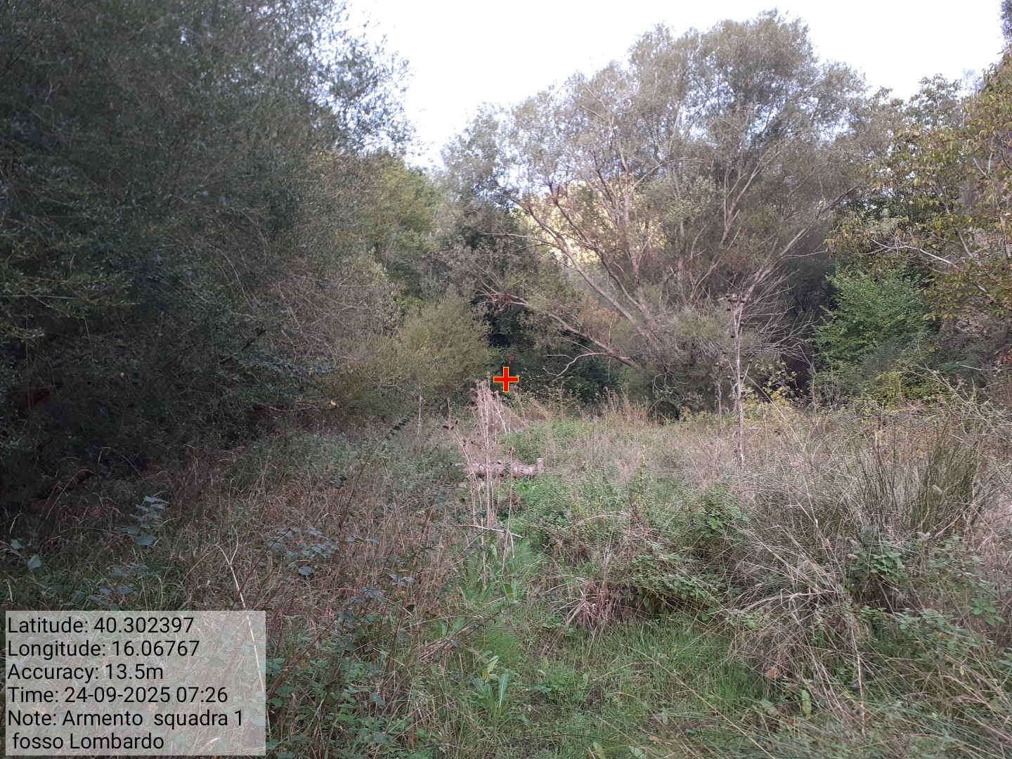 Galleria Fotografica Immagine