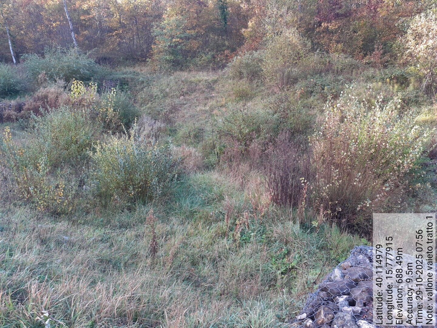 Galleria Fotografica Immagine