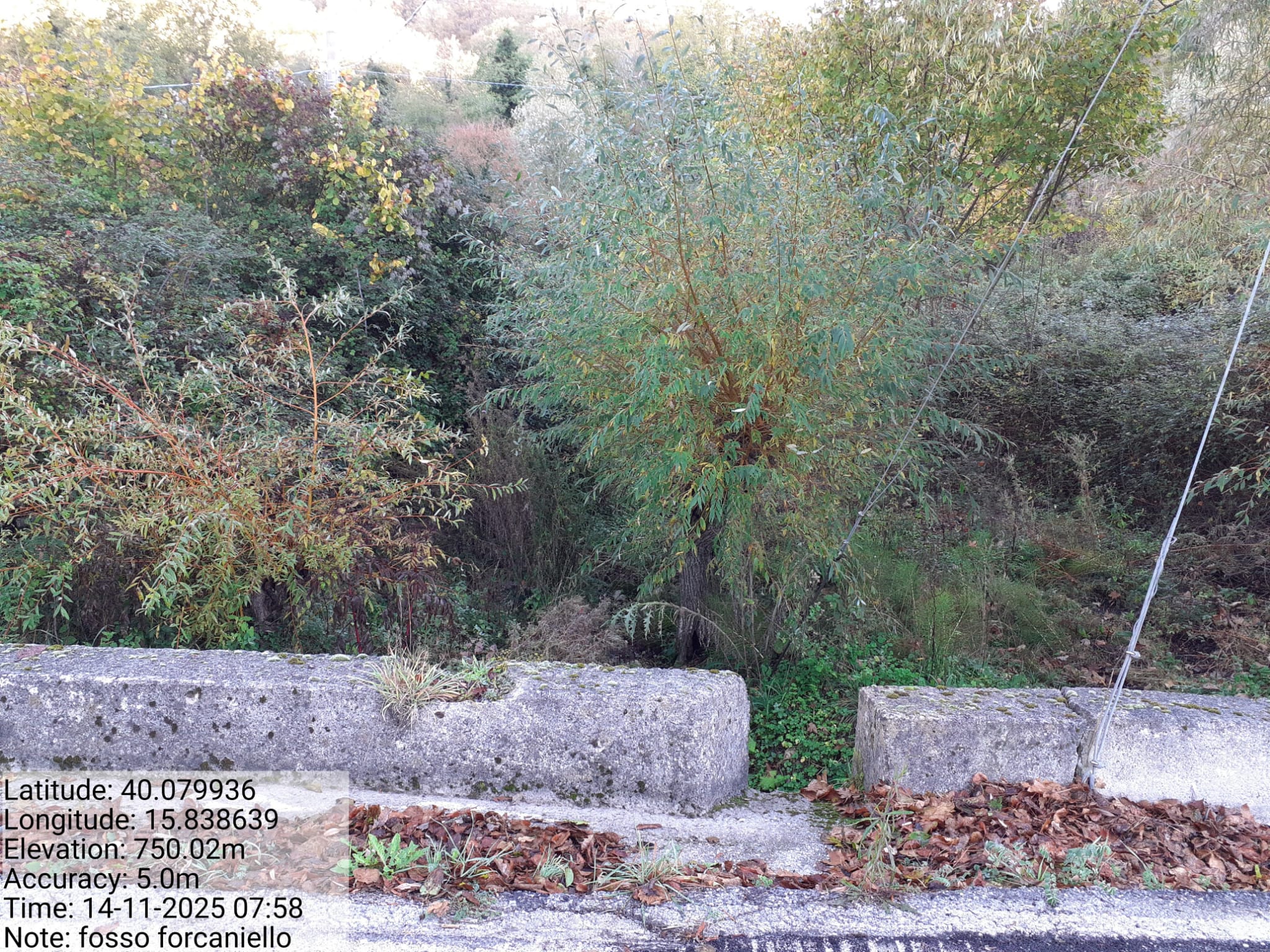 Galleria Fotografica Immagine