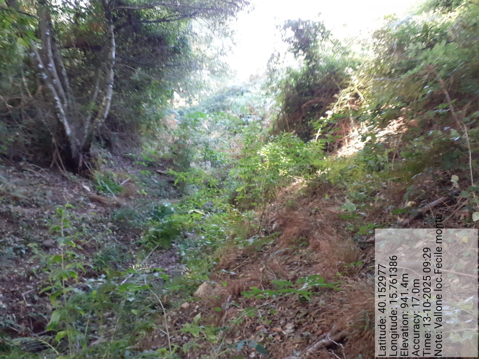 Galleria Fotografica Immagine