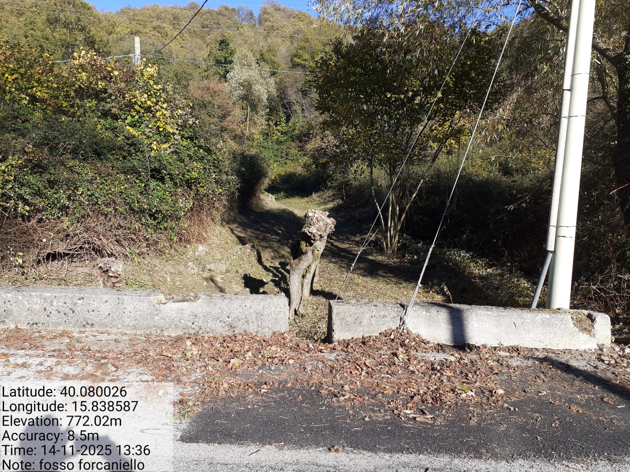 Galleria Fotografica Immagine