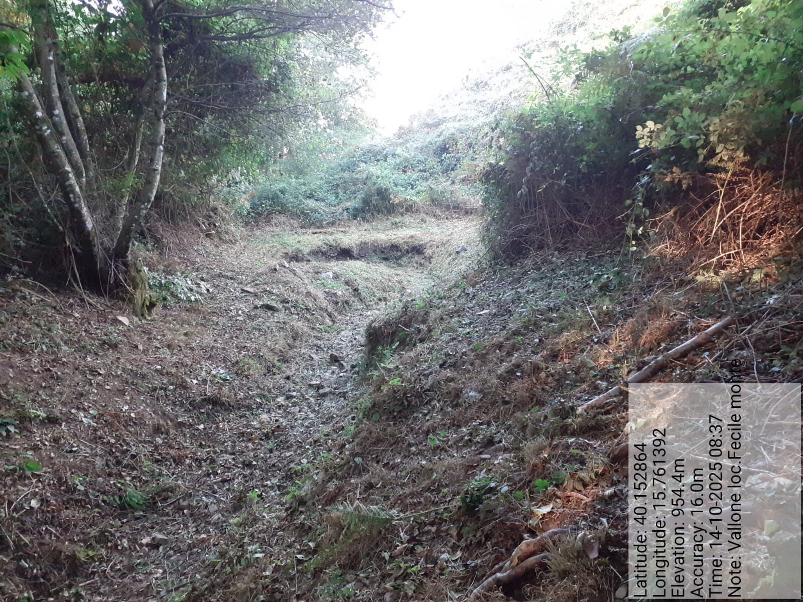 Galleria Fotografica Immagine