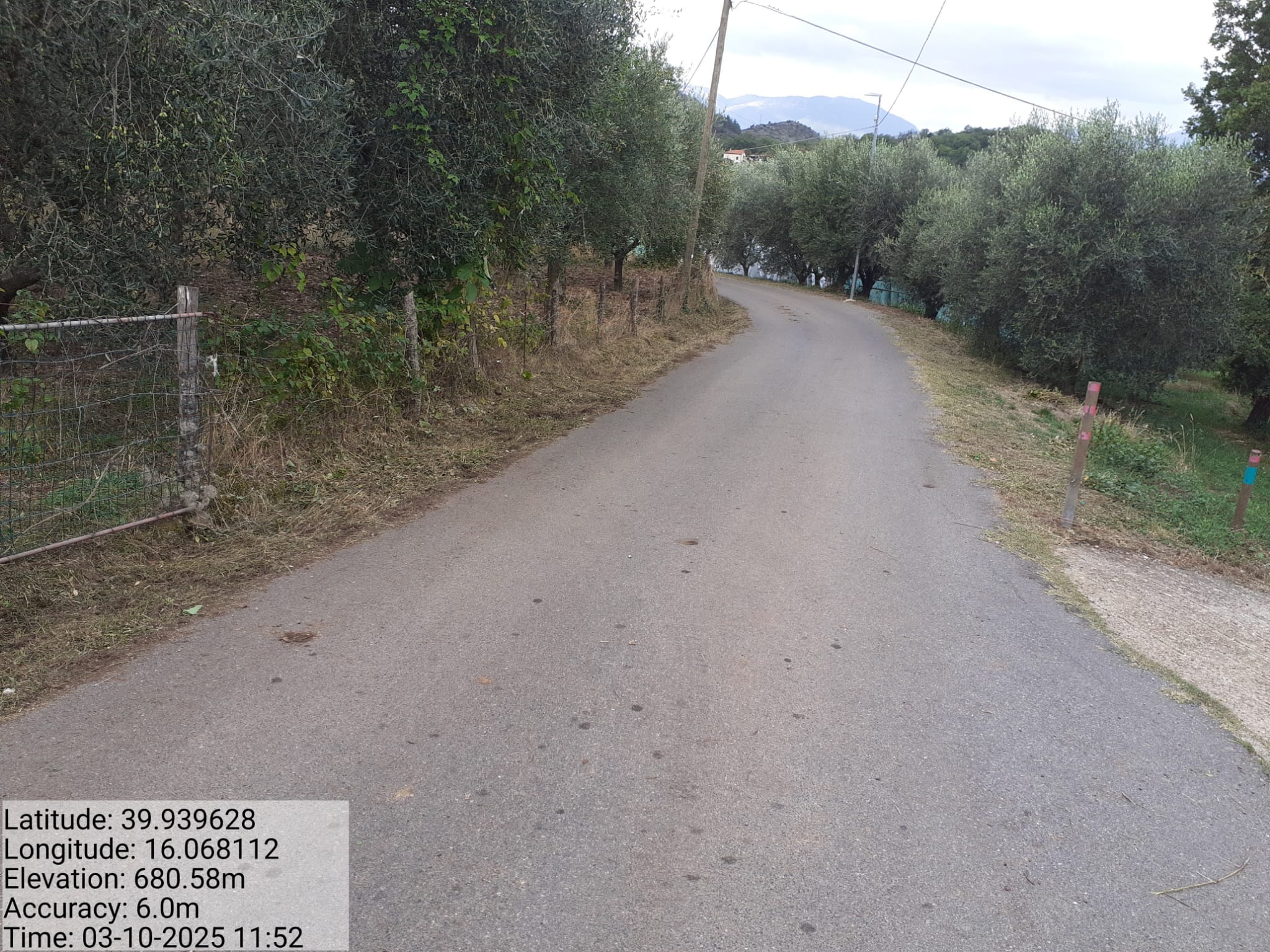 Galleria Fotografica Immagine