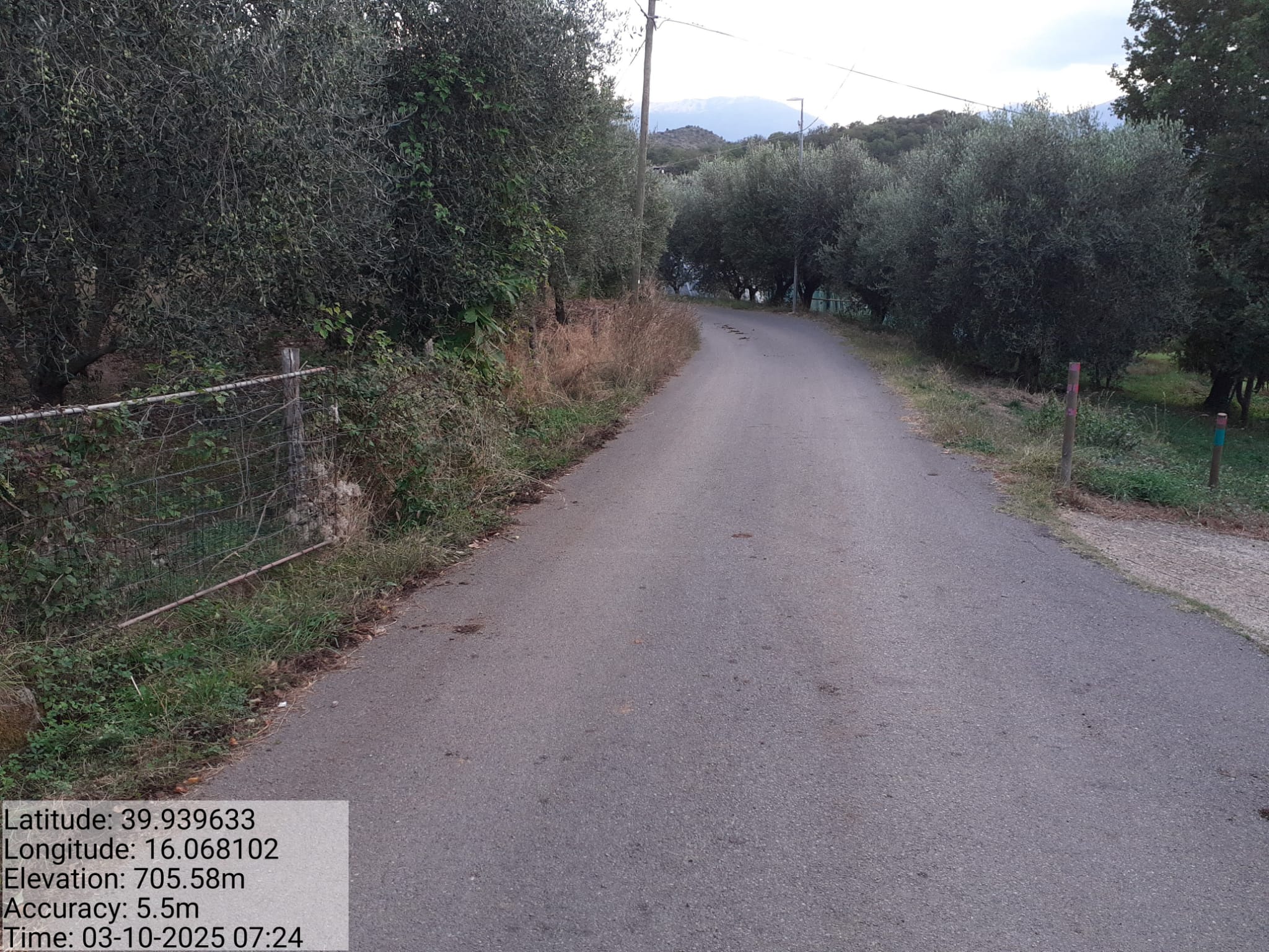 Galleria Fotografica Immagine