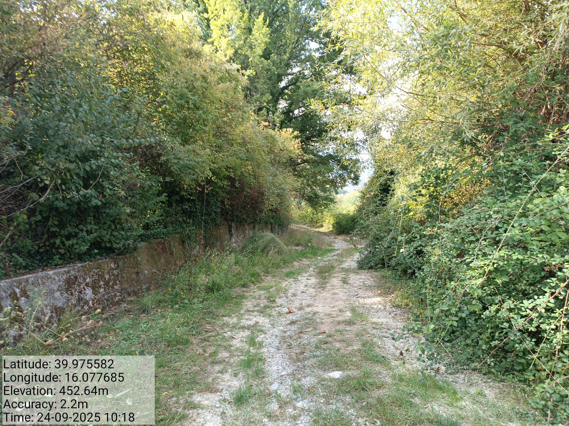 Galleria Fotografica Immagine