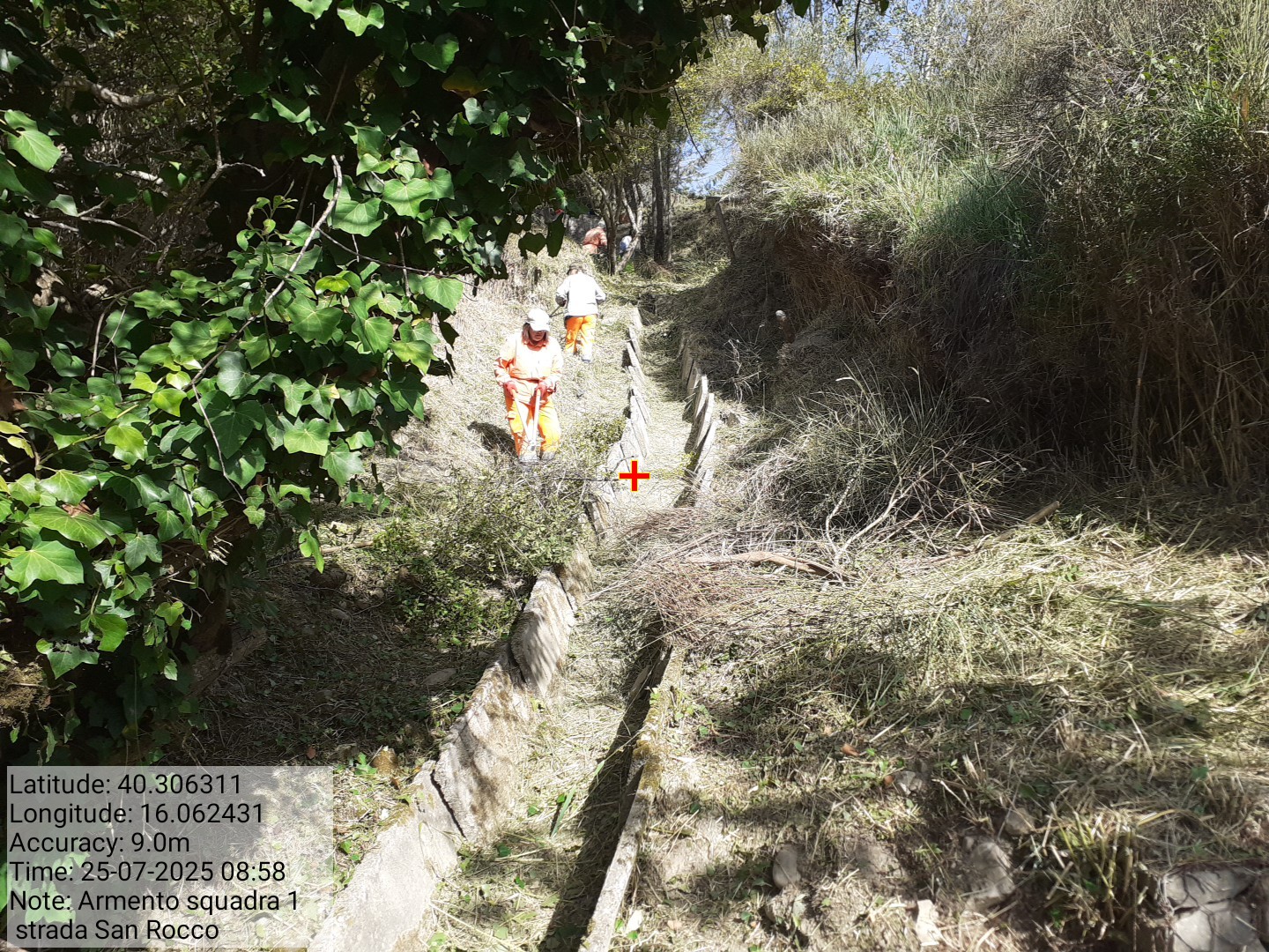 Galleria Fotografica Immagine