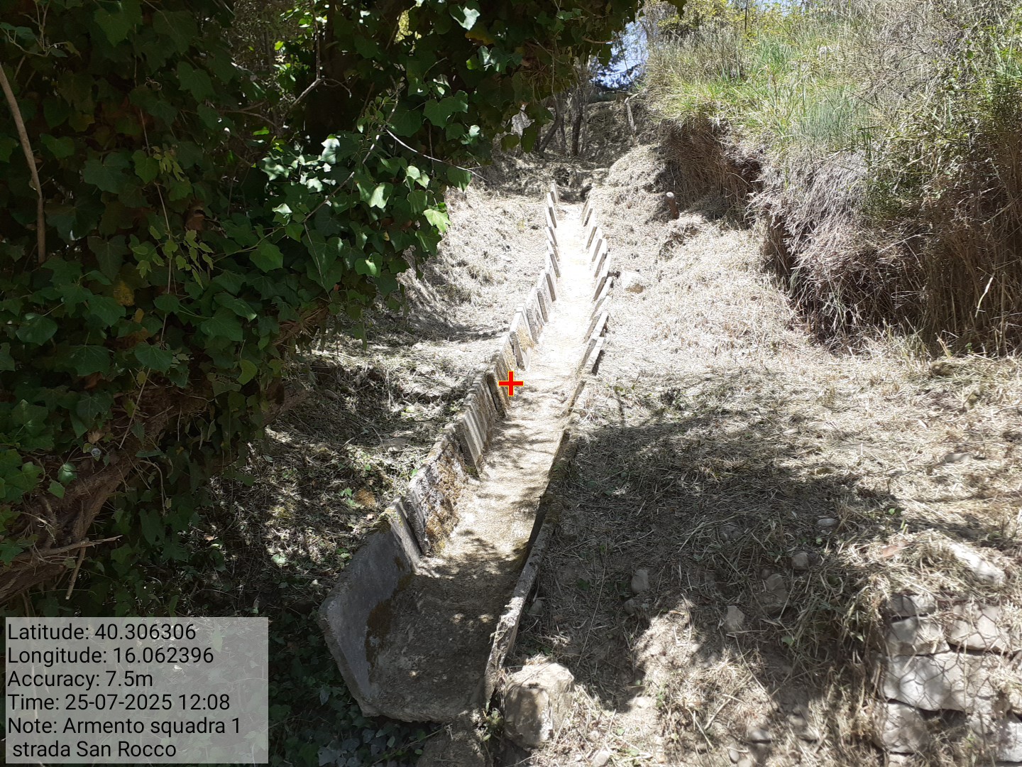 Galleria Fotografica Immagine