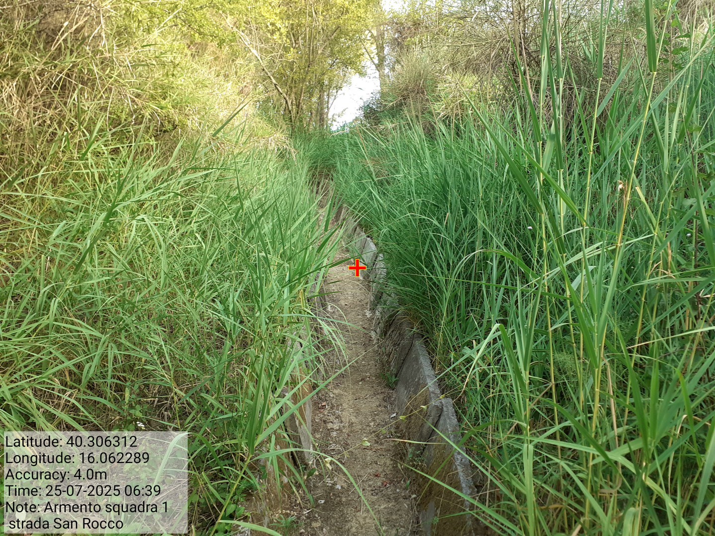 Galleria Fotografica Immagine