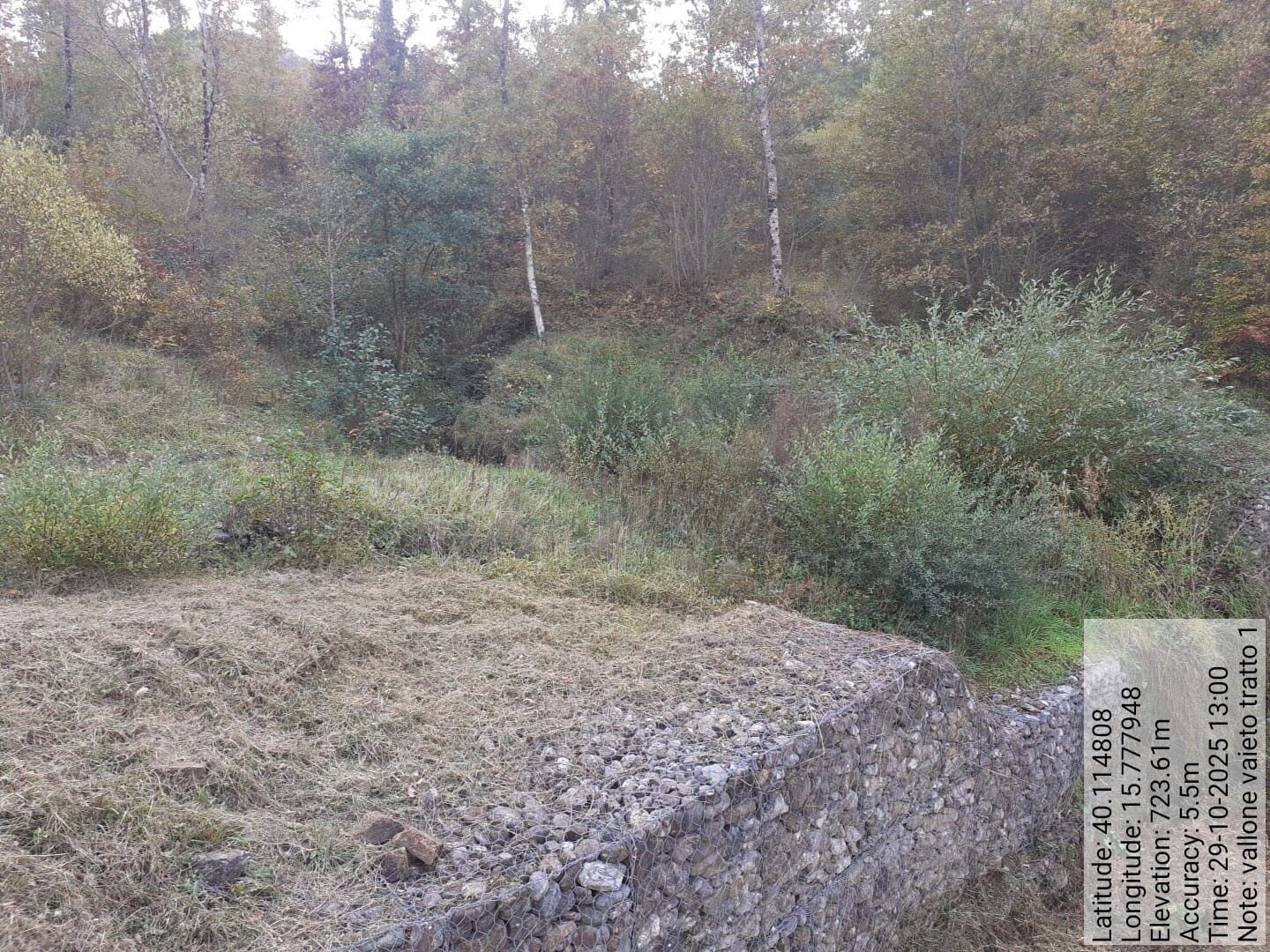 Galleria Fotografica Immagine