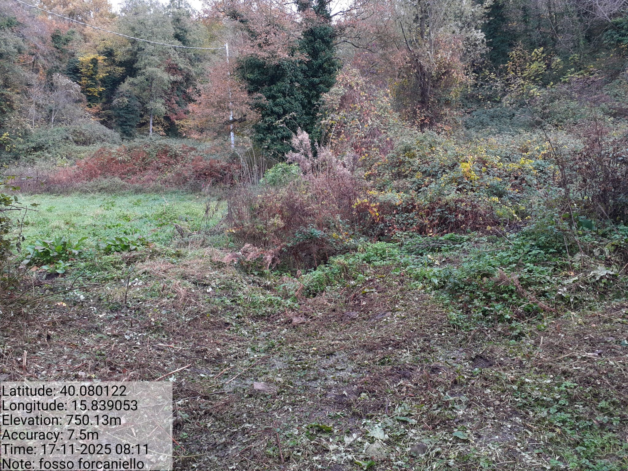 Galleria Fotografica Immagine