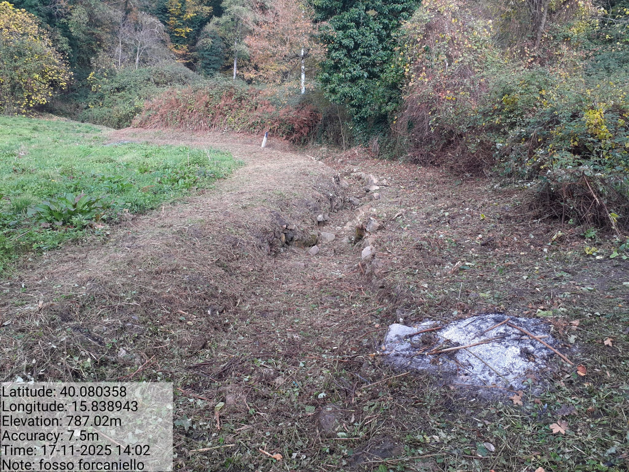 Galleria Fotografica Immagine