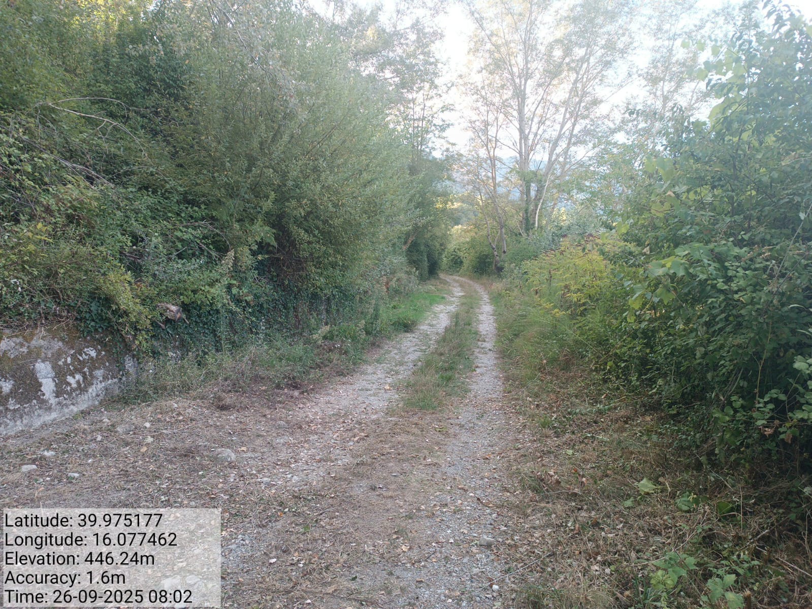 Galleria Fotografica Immagine