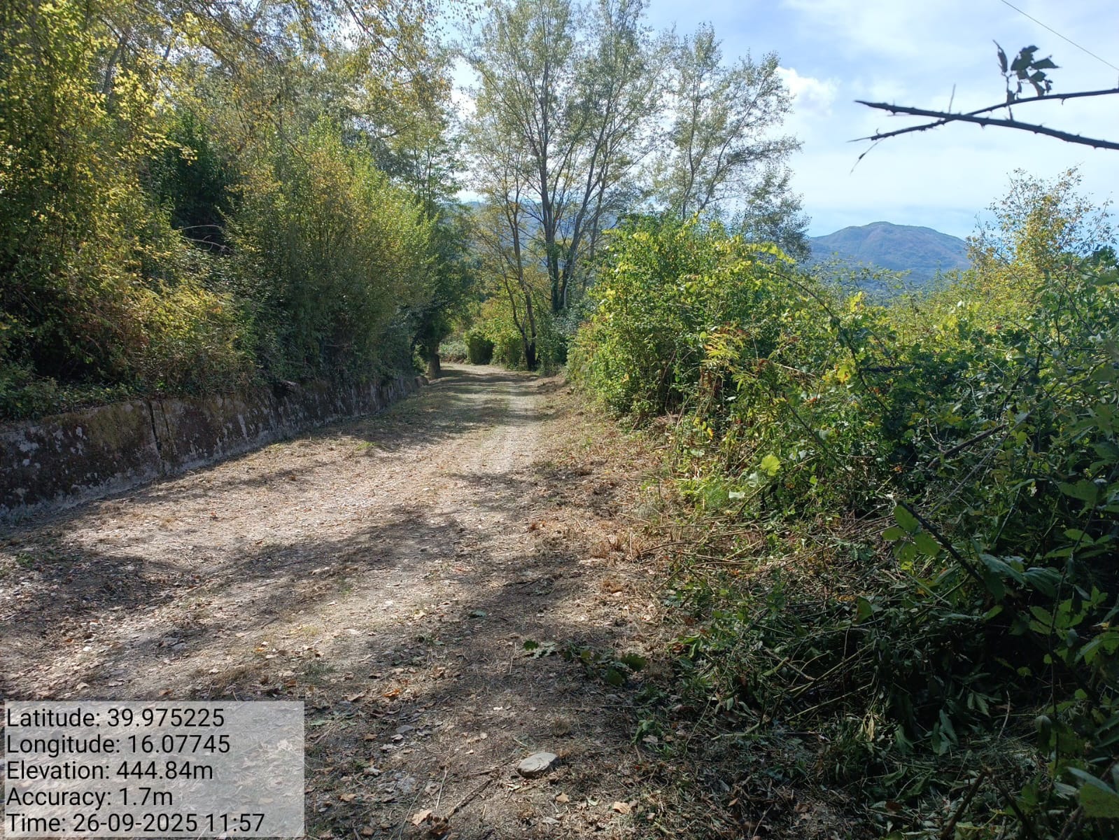 Galleria Fotografica Immagine