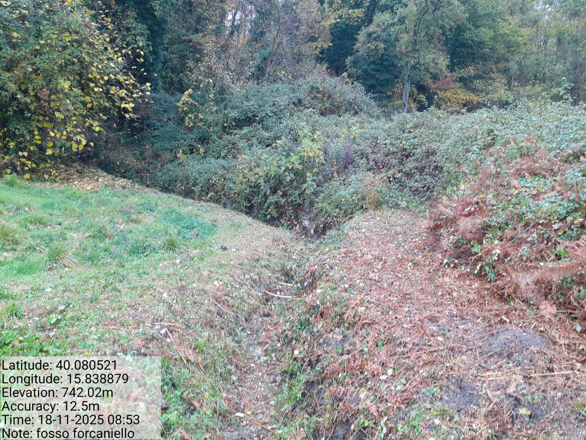 Galleria Fotografica Immagine