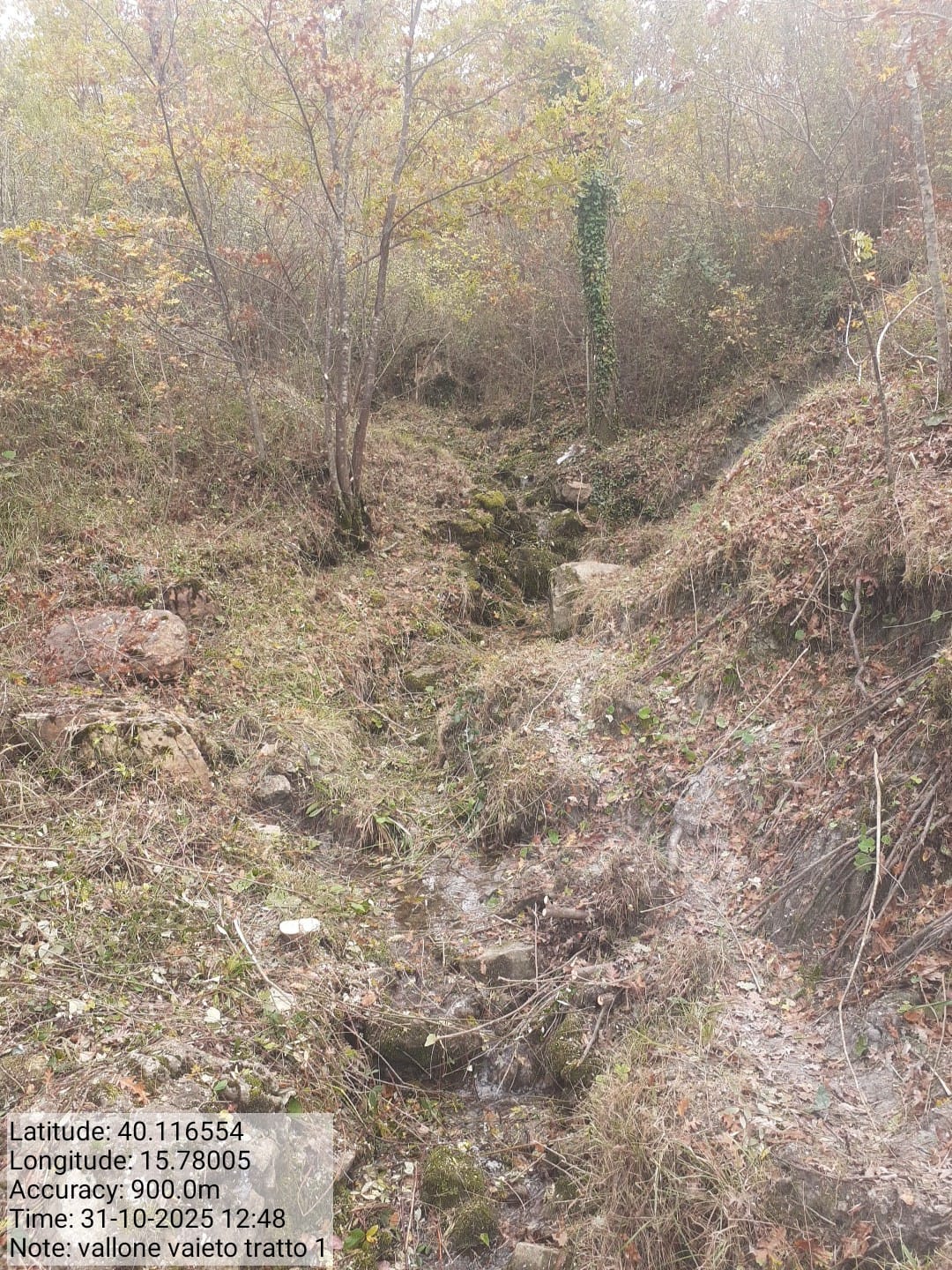 Galleria Fotografica Immagine