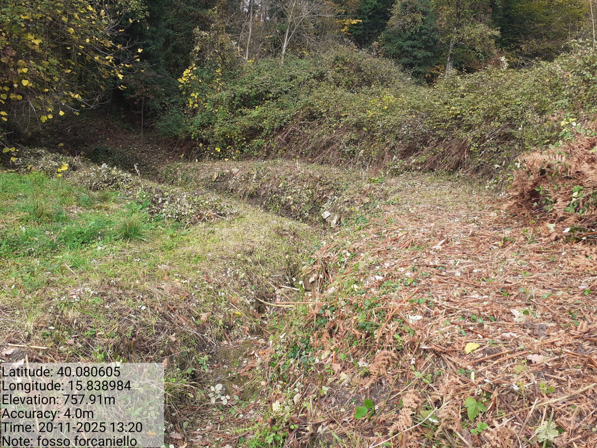 Galleria Fotografica Immagine