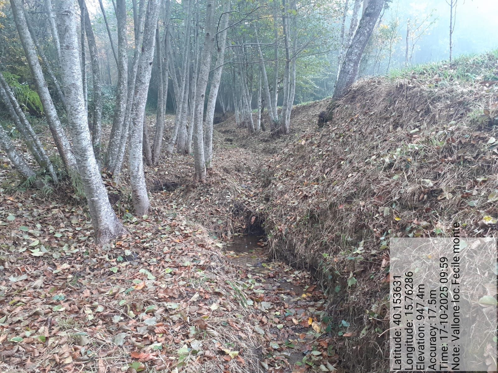 Galleria Fotografica Immagine