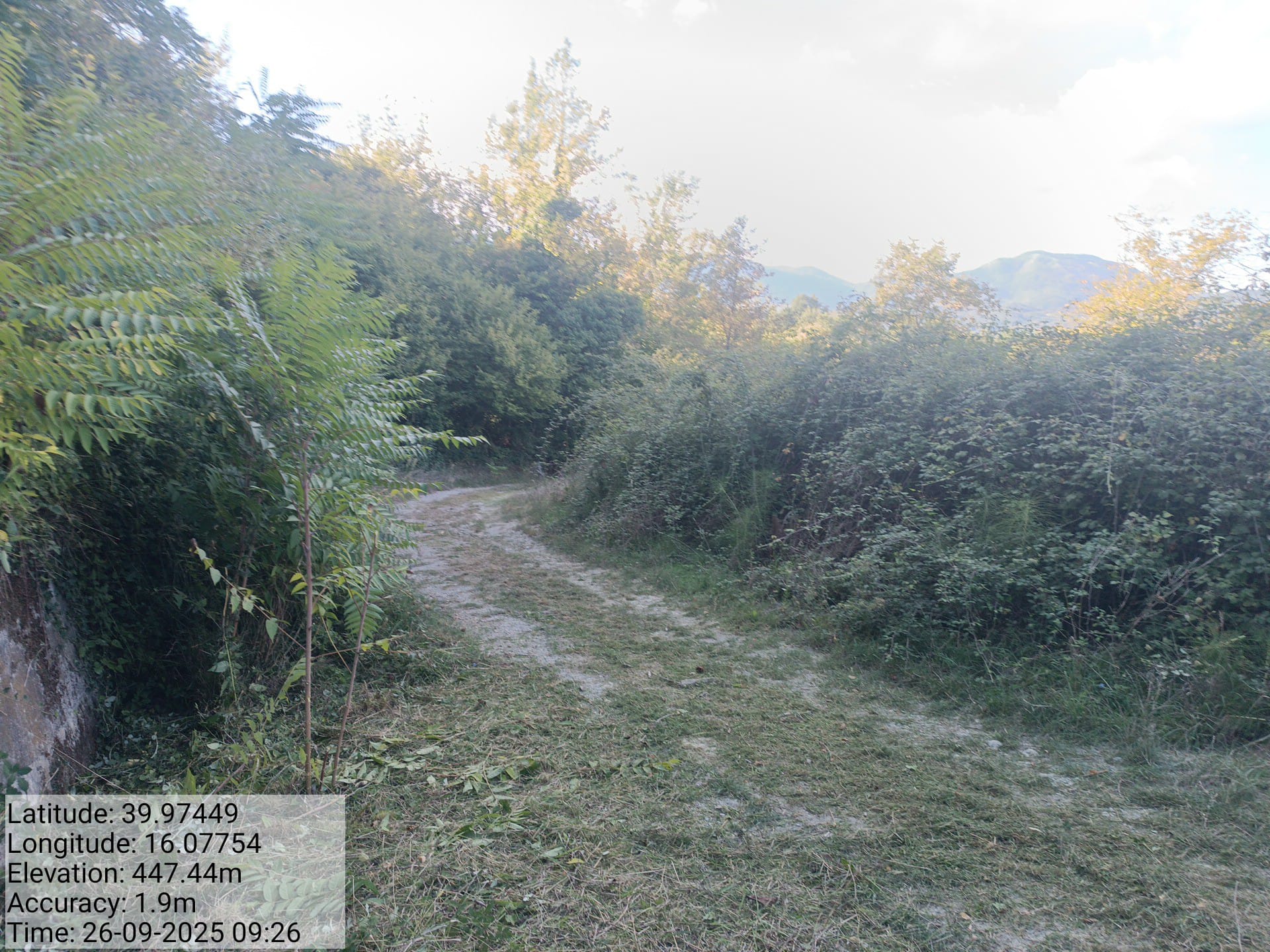 Galleria Fotografica Immagine