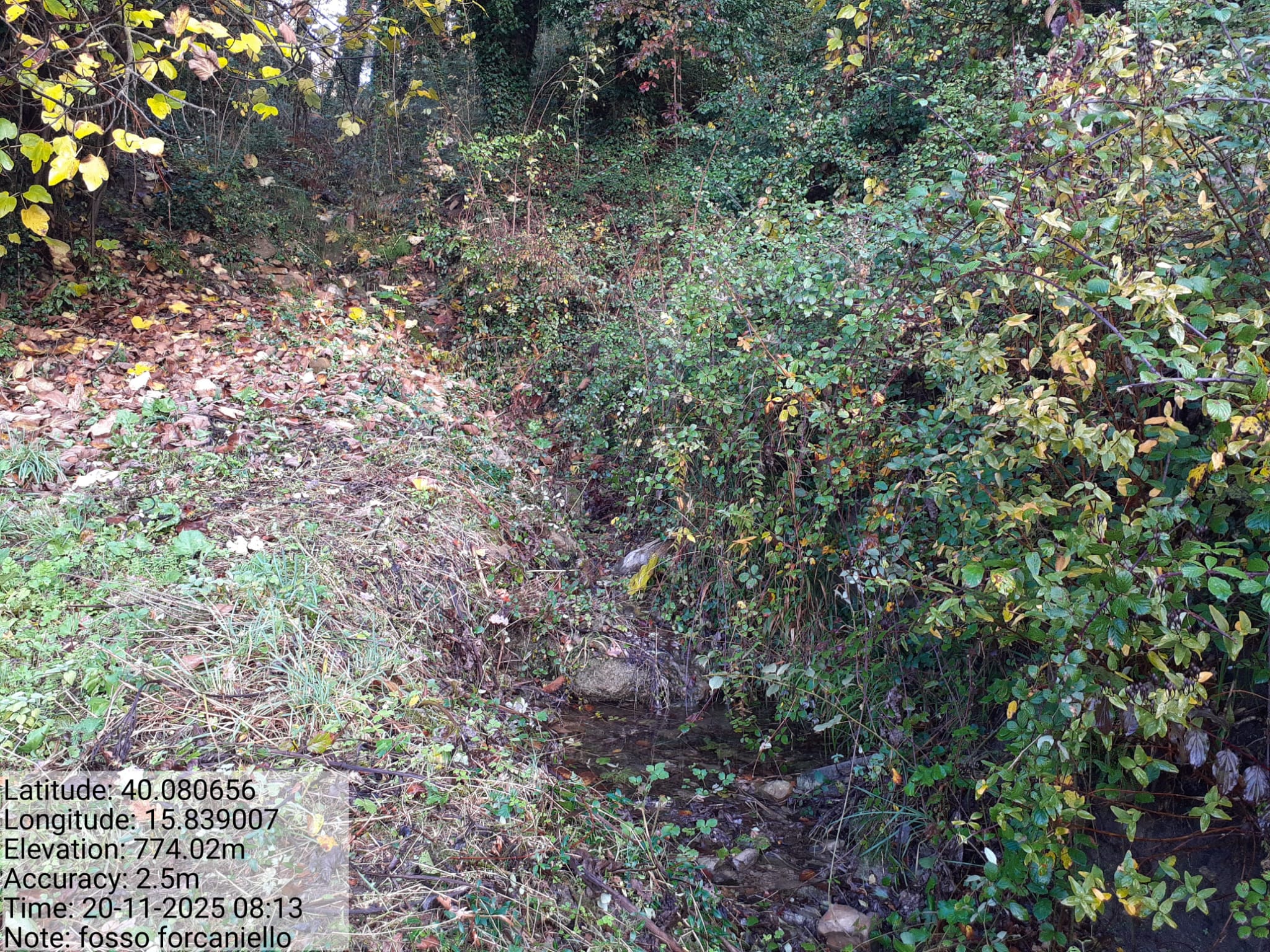 Galleria Fotografica Immagine