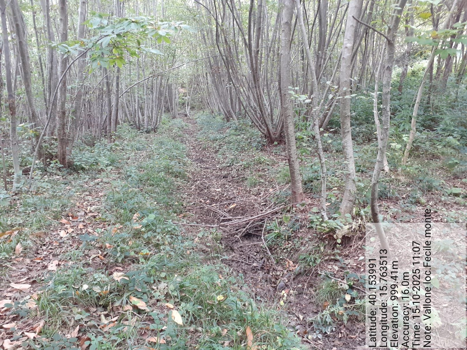 Galleria Fotografica Immagine