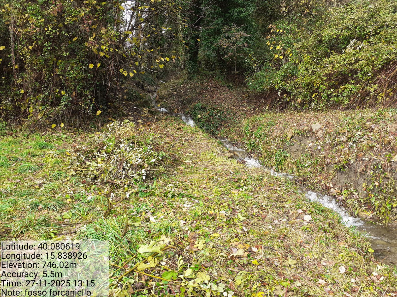 Galleria Fotografica Immagine