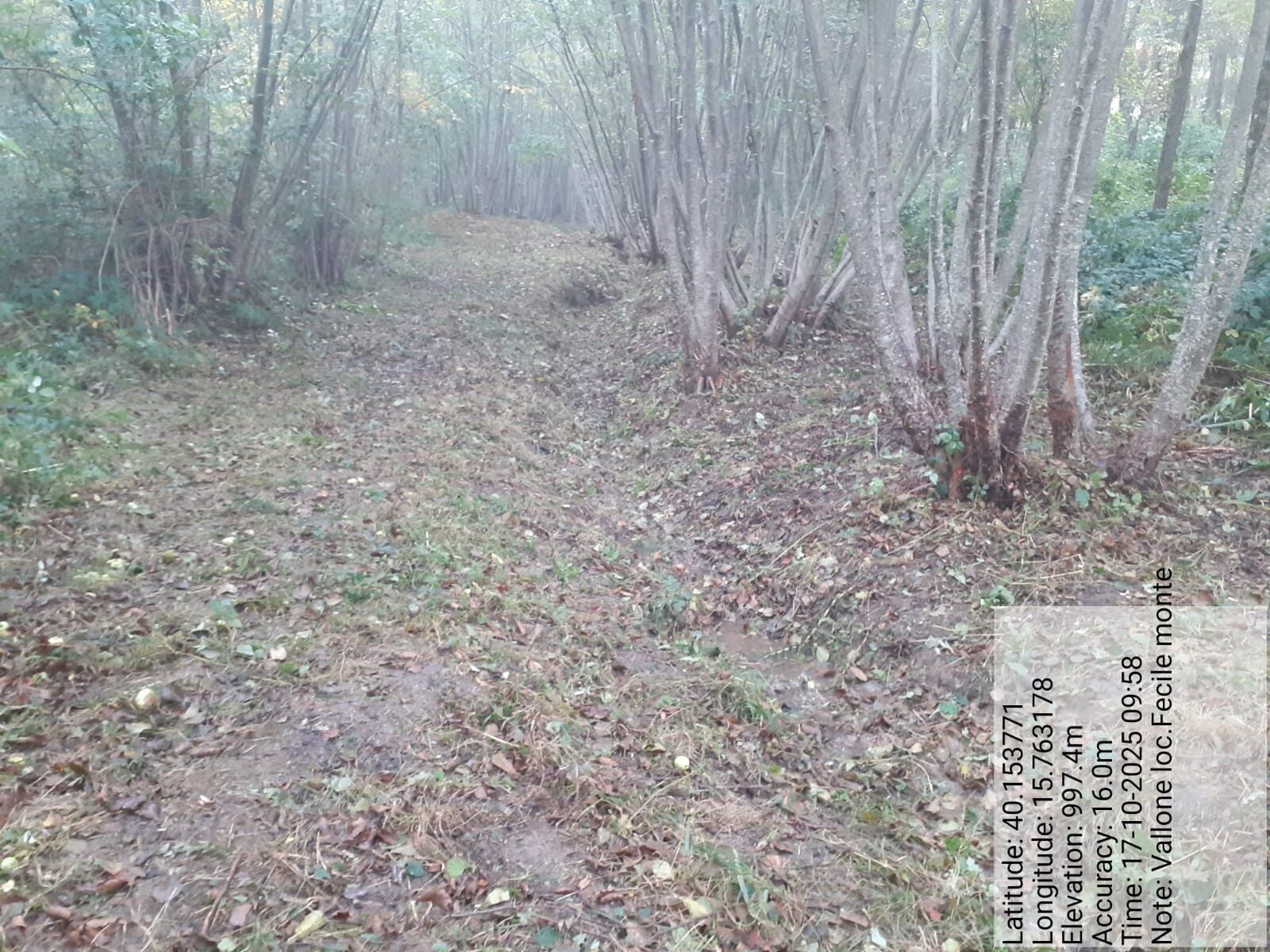 Galleria Fotografica Immagine