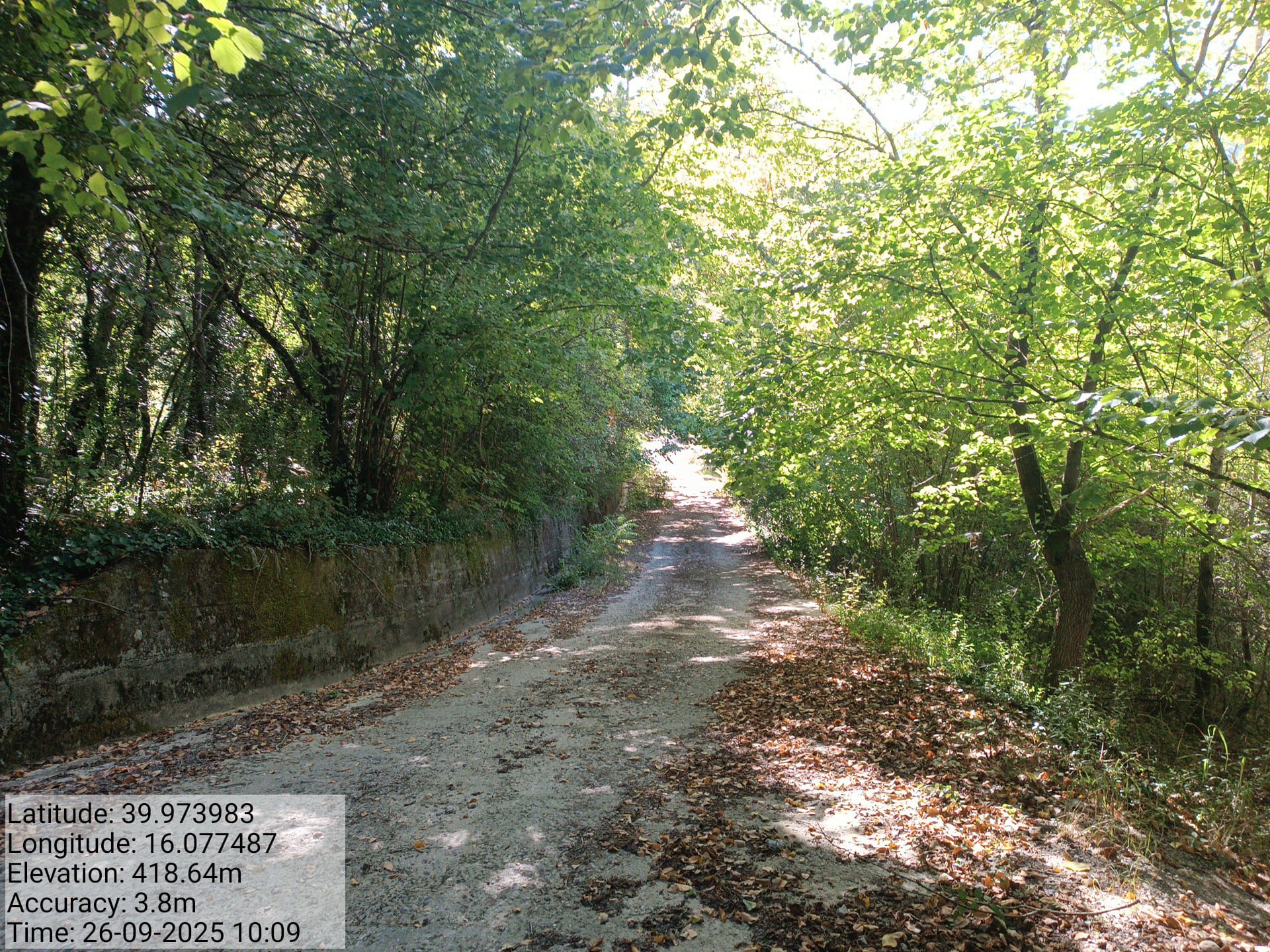 Galleria Fotografica Immagine