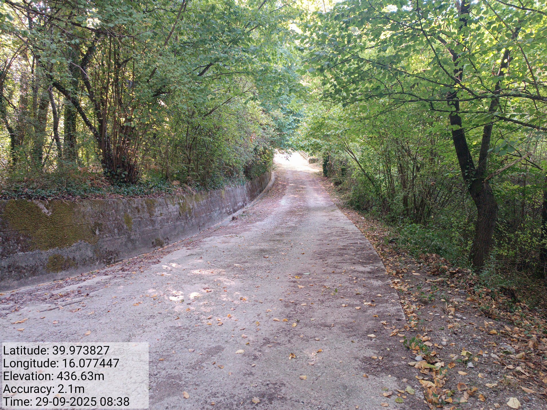 Galleria Fotografica Immagine