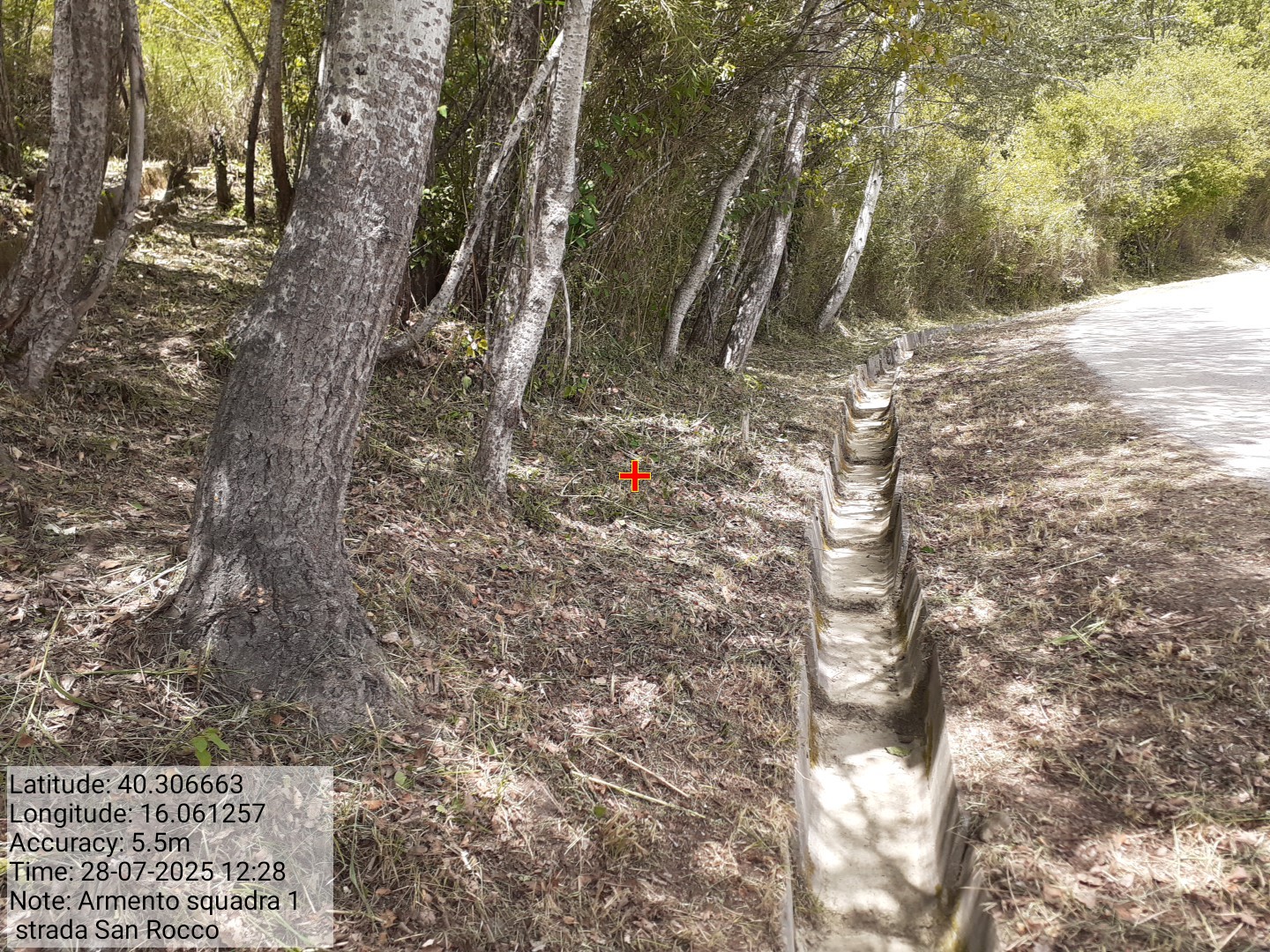 Galleria Fotografica Immagine