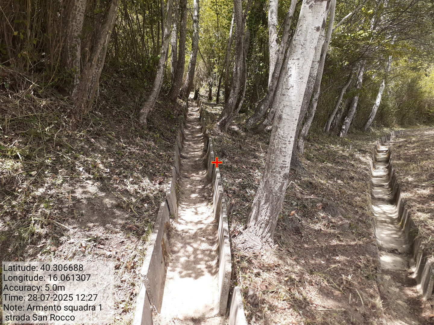 Galleria Fotografica Immagine