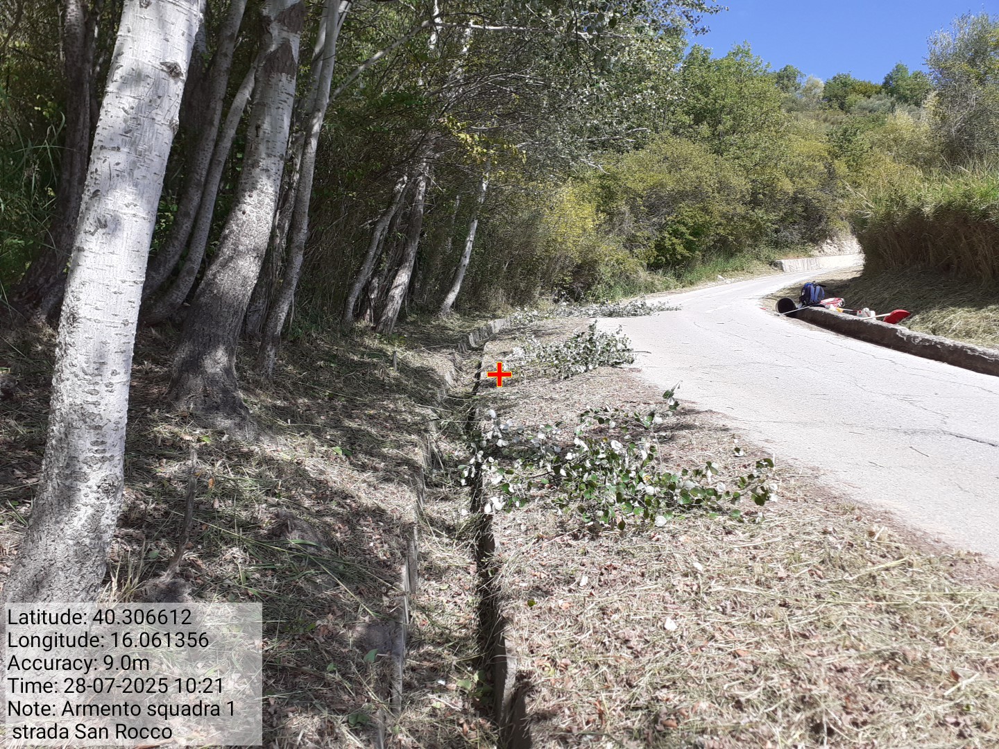 Galleria Fotografica Immagine