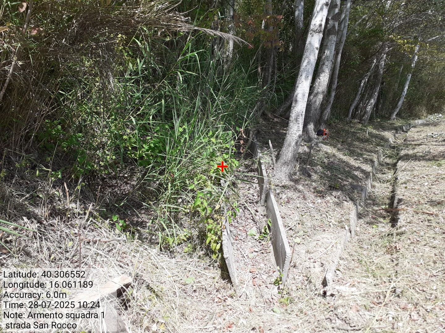 Galleria Fotografica Immagine