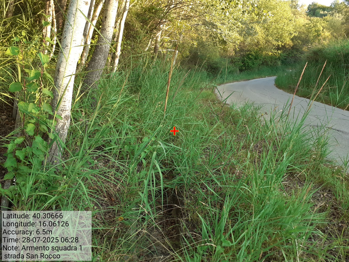 Galleria Fotografica Immagine