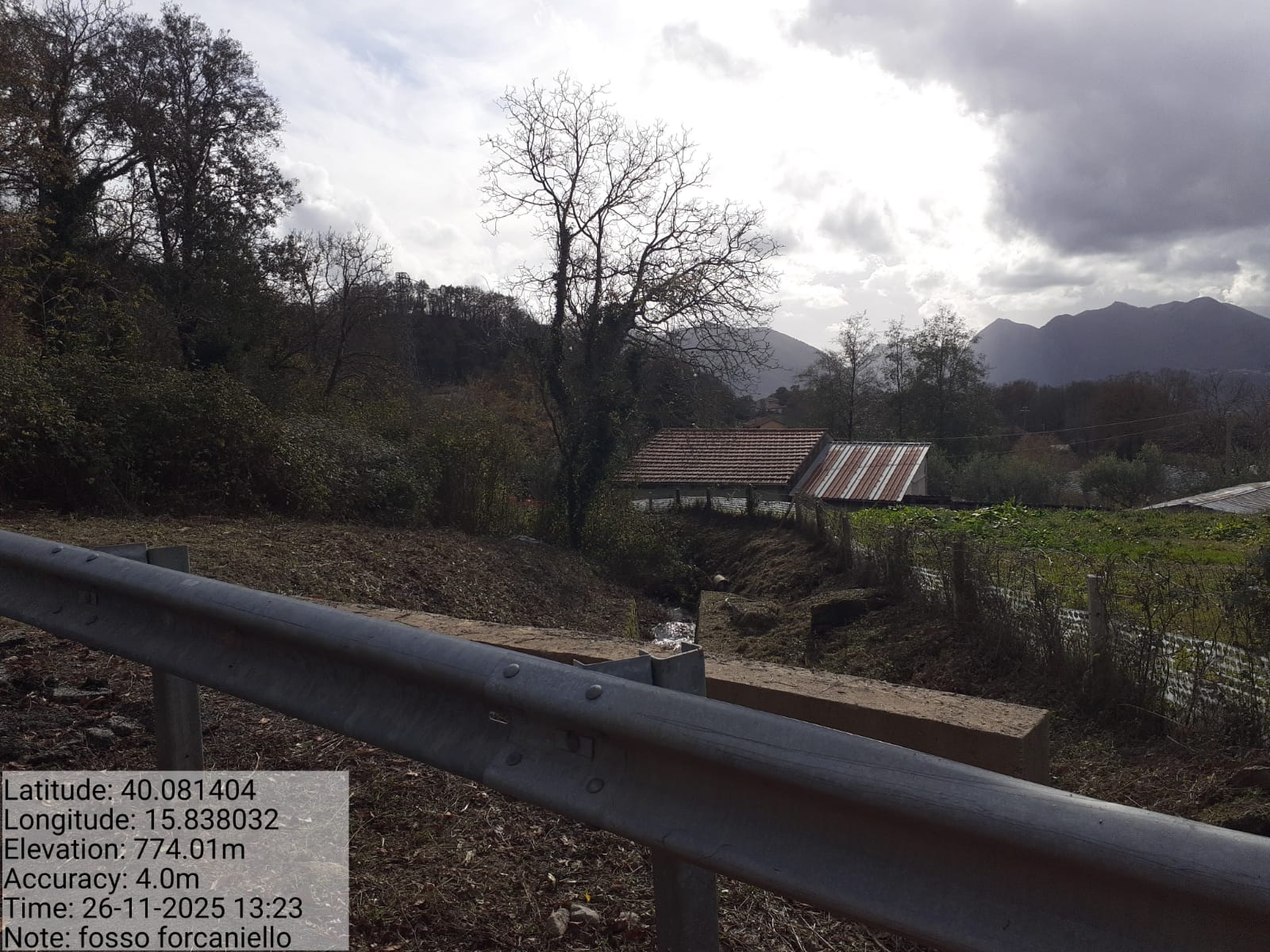 Galleria Fotografica Immagine