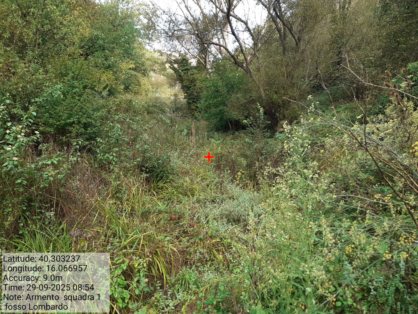 Galleria Fotografica Immagine