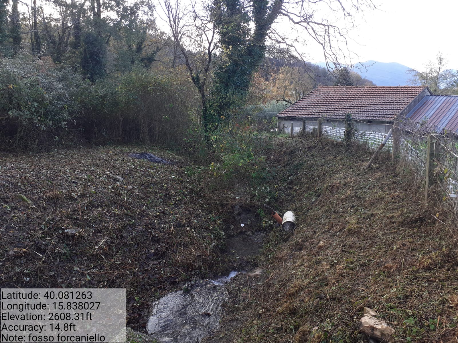 Galleria Fotografica Immagine