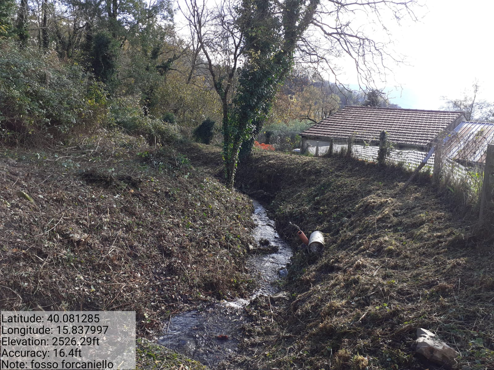 Galleria Fotografica Immagine