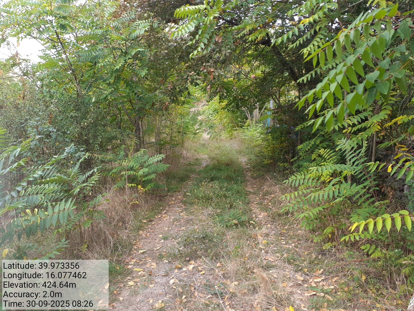 Galleria Fotografica Immagine