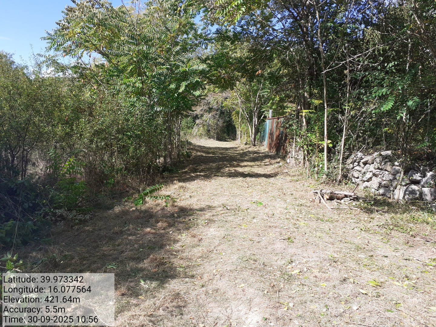 Galleria Fotografica Immagine