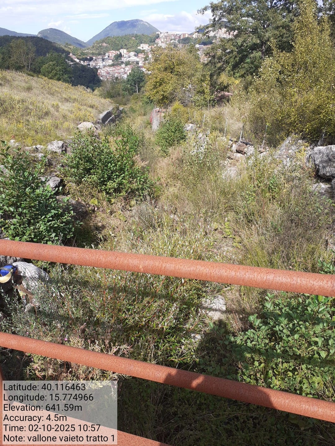 Galleria Fotografica Immagine