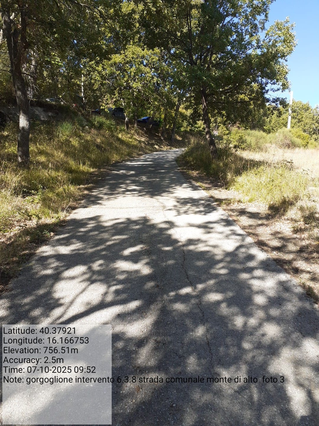 Galleria Fotografica Immagine