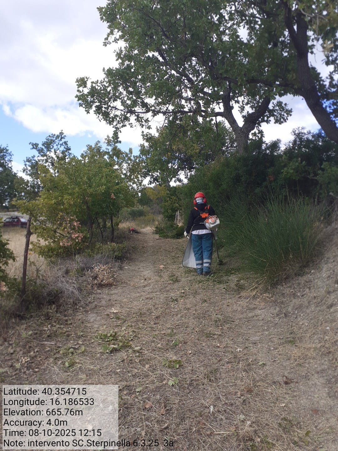 Galleria Fotografica Immagine