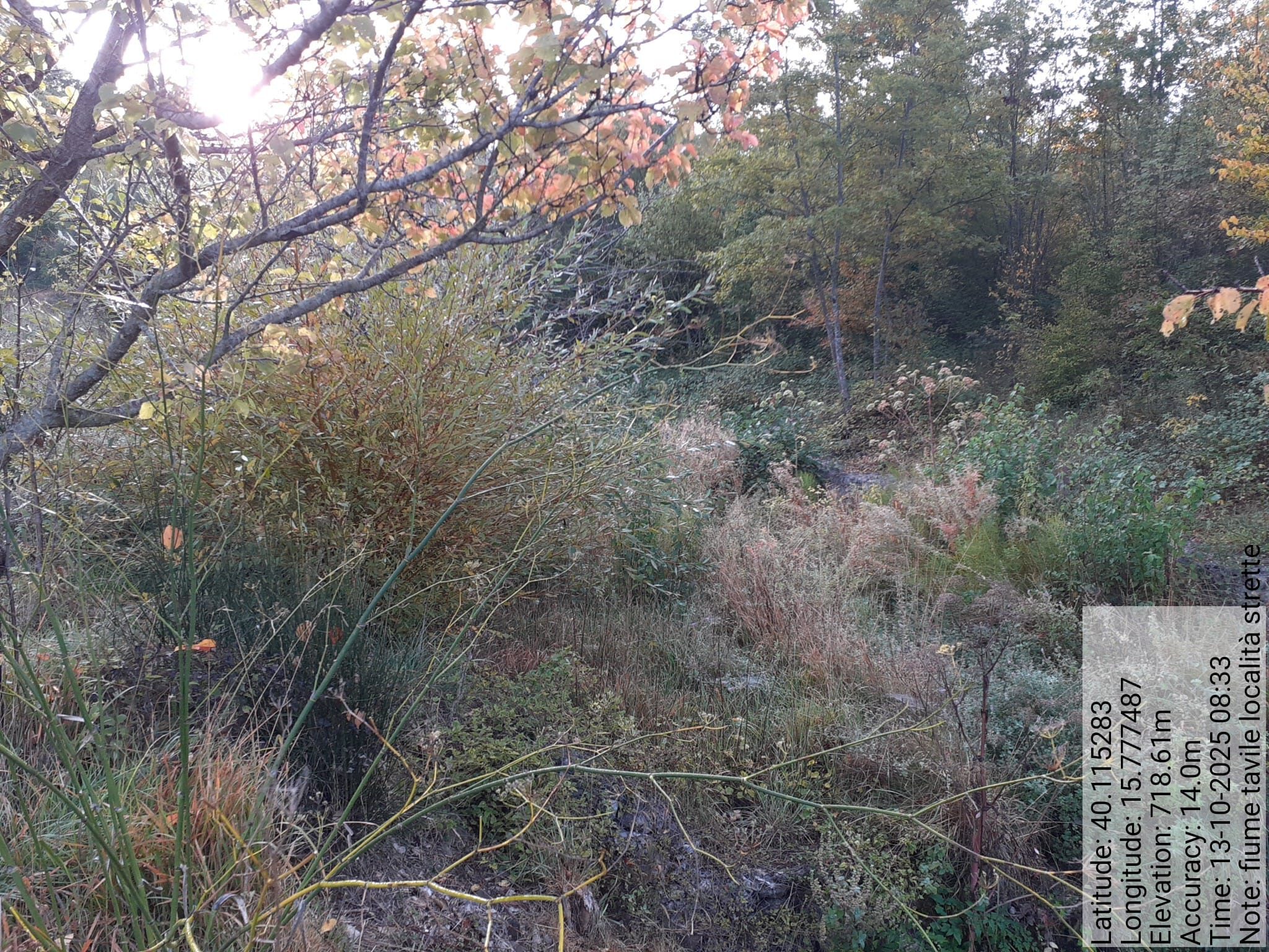 Galleria Fotografica Immagine