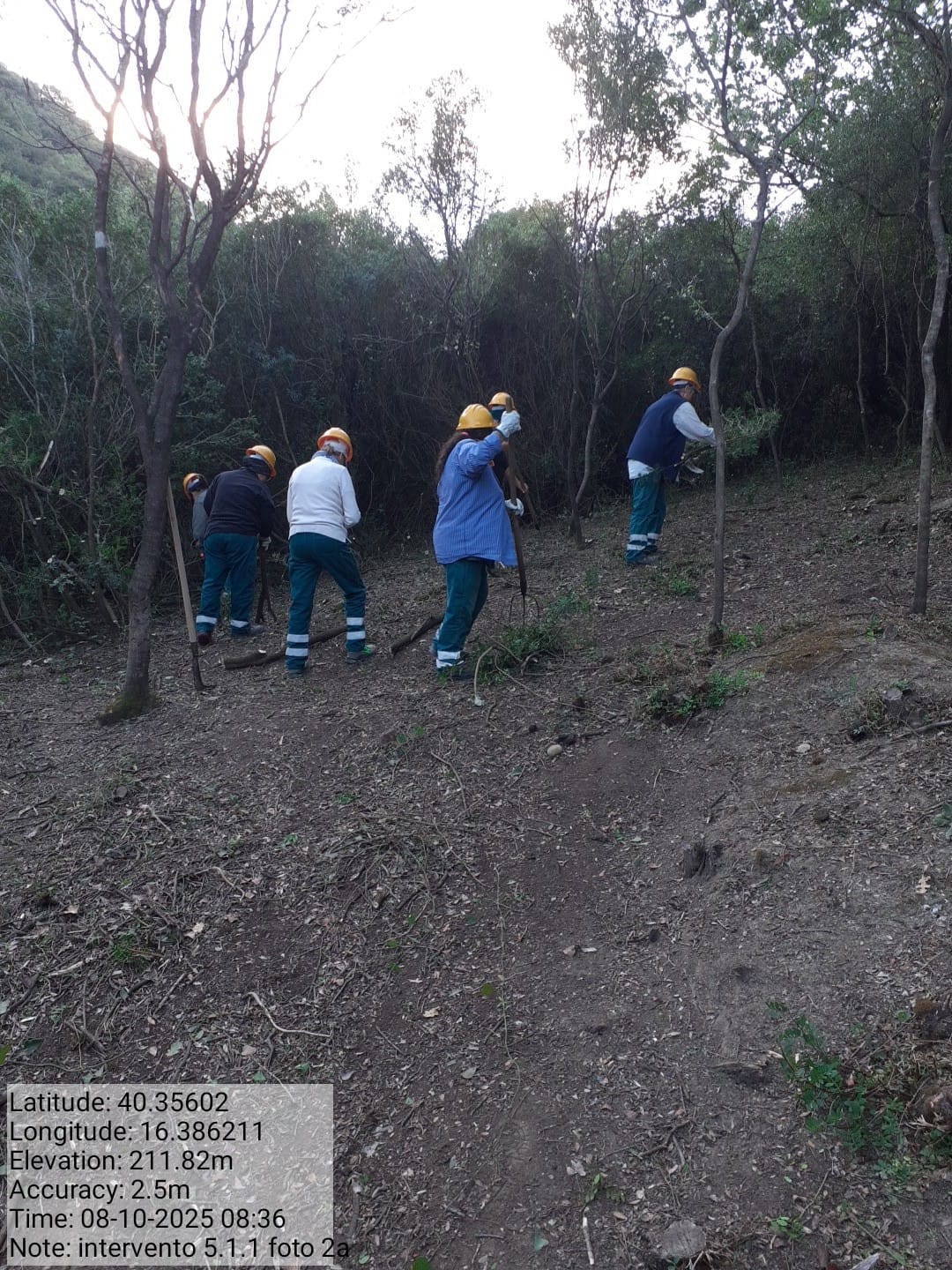 Galleria Fotografica Immagine