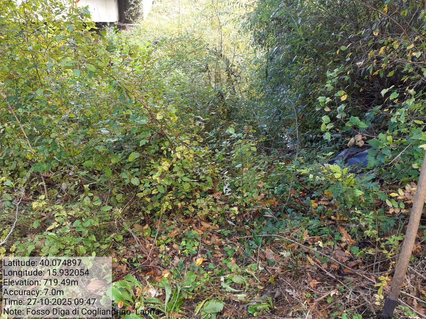 Galleria Fotografica Immagine