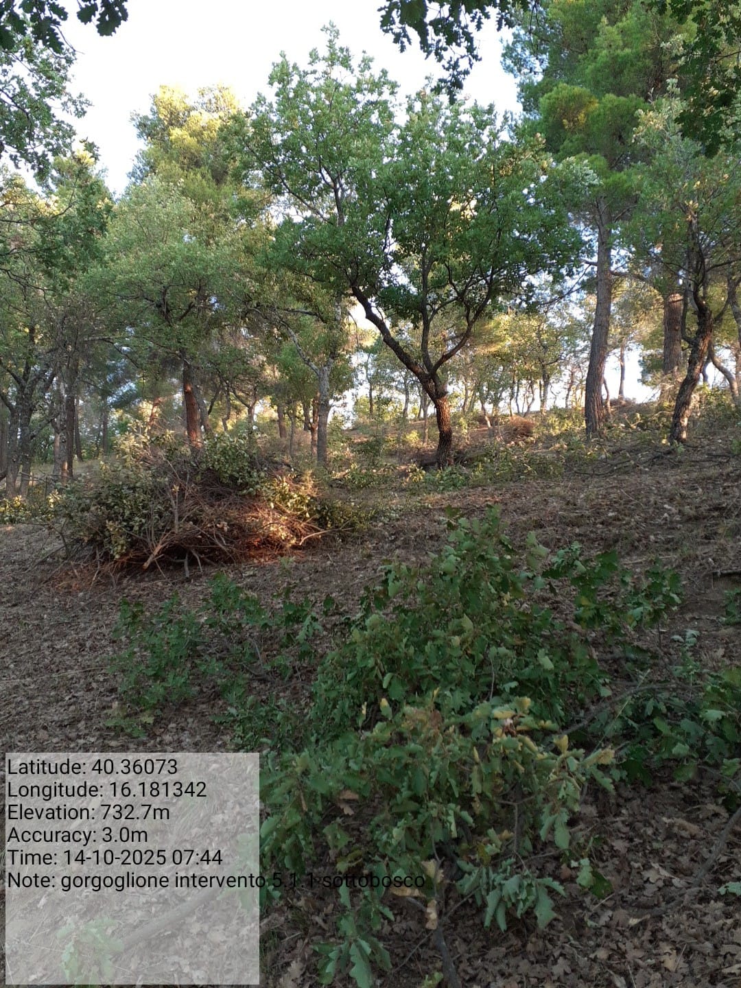 Galleria Fotografica Immagine