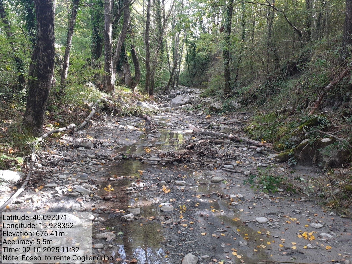 Galleria Fotografica Immagine