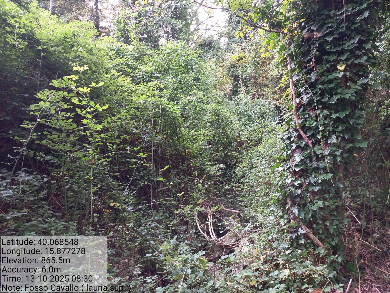 Galleria Fotografica Immagine