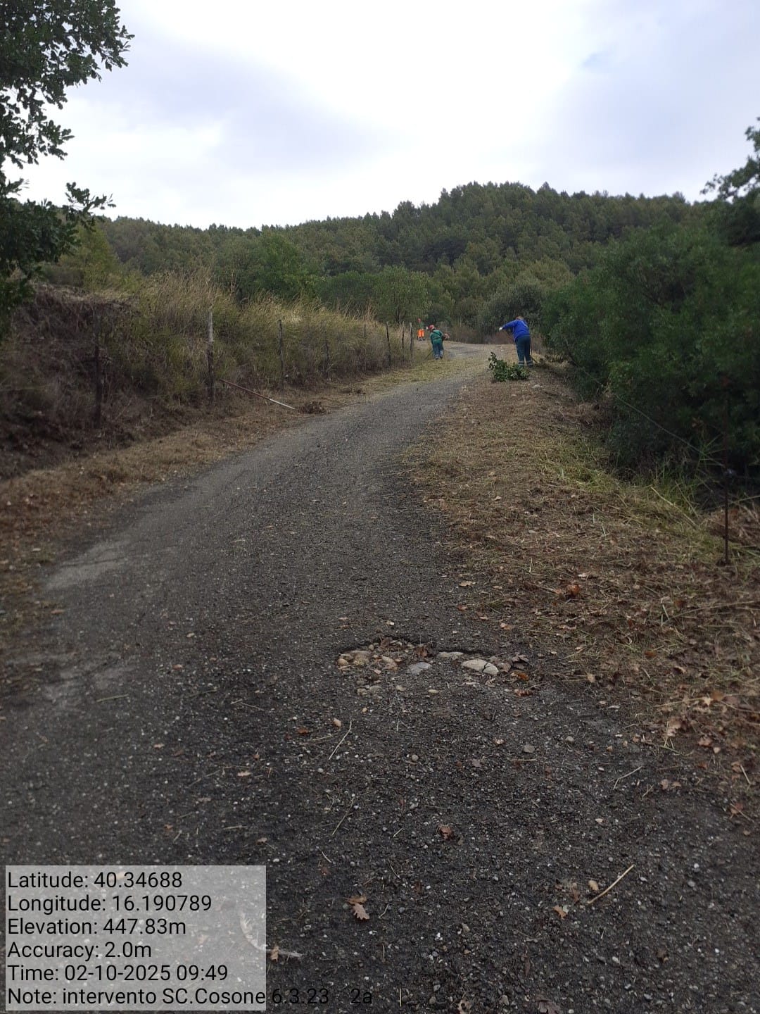 Galleria Fotografica Immagine